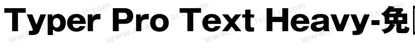 Typer Pro Text Heavy字体转换